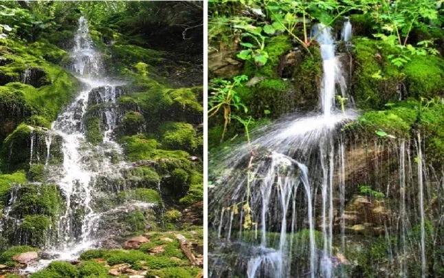 Cascada Verde Borogeana din zona Latoritei