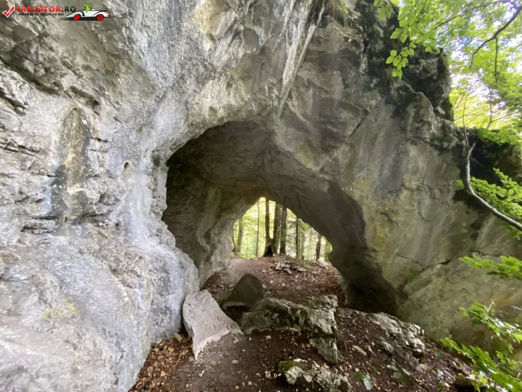 Interior din Pestera Laptelui, obiectiv speologic din Valcea